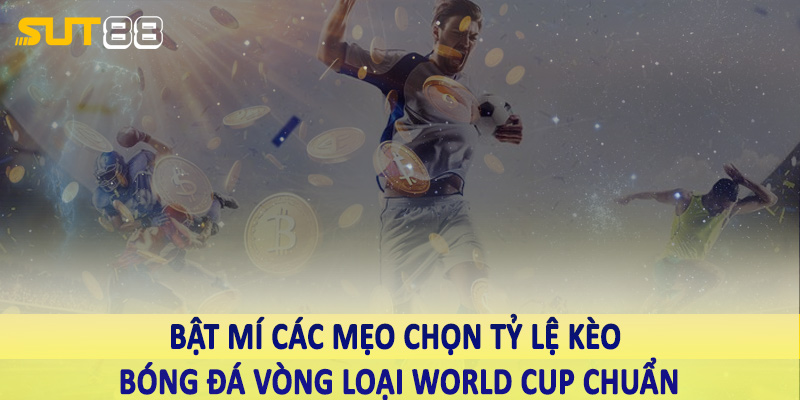 Bật mí các mẹo chọn tỷ lệ kèo bóng đá vòng loại World Cup chuẩn