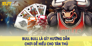 Bull Bull là gì? Hướng dẫn chơi dễ hiểu cho tân thủ 