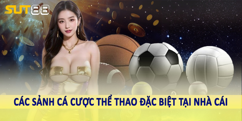 Các sảnh cá cược thể thao đặc biệt tại nhà cái