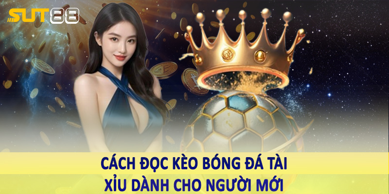 Cách đọc kèo bóng đá tài xỉu dành cho người mới 