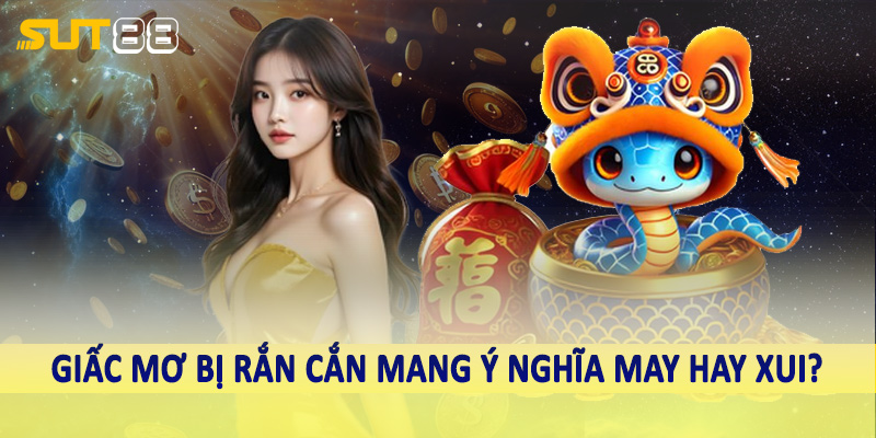 Giấc mơ bị rắn cắn mang ý nghĩa may hay xui?