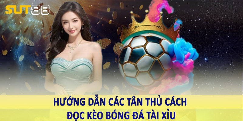 Kinh nghiệm chơi cá độ bóng đá dành cho tân thủ