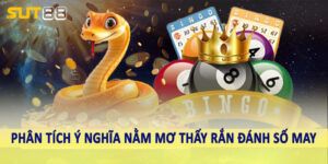 Phân tích ý nghĩa nằm mơ thấy rắn đánh số may