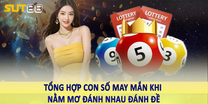 Tổng hợp con số may mắn khi nằm mơ đánh nhau đánh đề